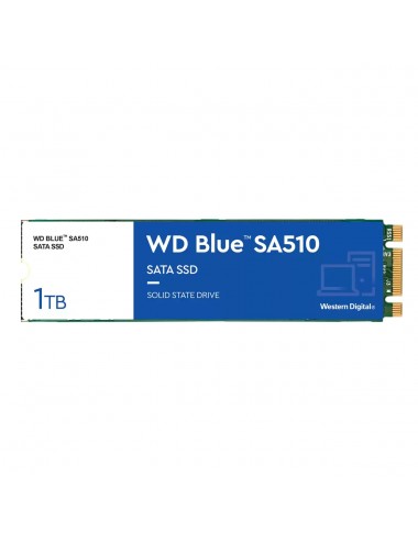 ssd-wd-blue-1tb-sa510-sata3-m2-wds100t3b0b-1.jpg